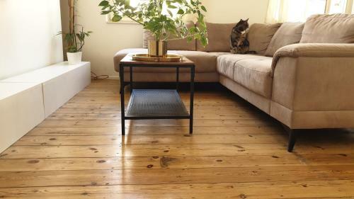 Apartamento Areuhalf
