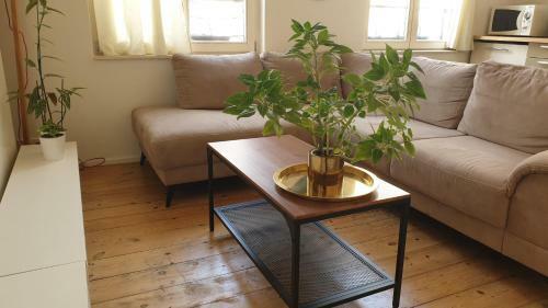 Apartamento Areuhalf