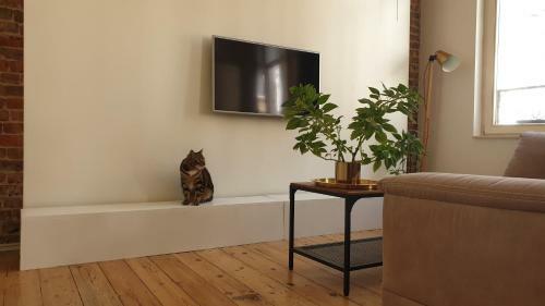 Apartamento Areuhalf