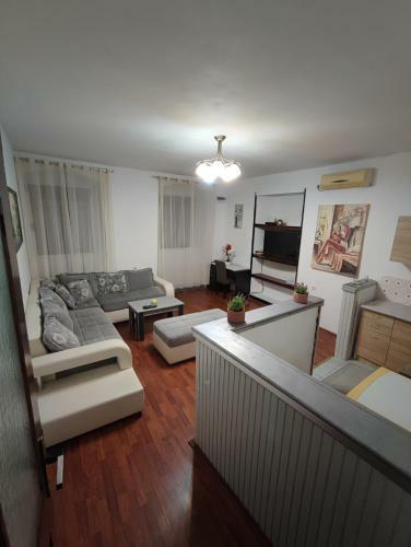 Apartment Viktor