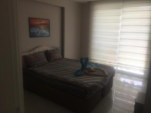 Apartamento Beachfront Fully Equipped Luxury Residence D19n