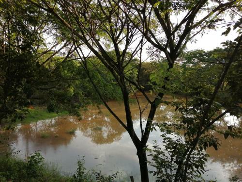 Hotel Finca Ecoturistica Los Jagueyes
