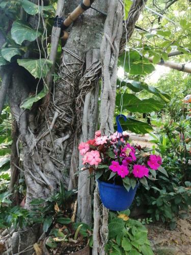 Hotel Finca Ecoturistica Los Jagueyes