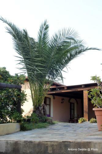 Hotel Belvedere