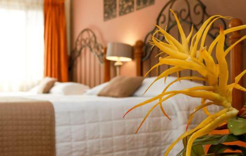 Hotel Las Magnolias