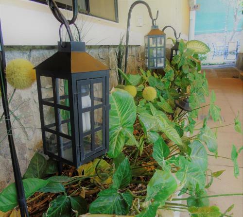 Hotel Las Magnolias