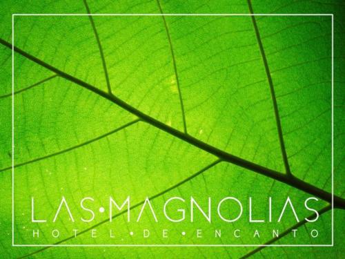 Hotel Las Magnolias