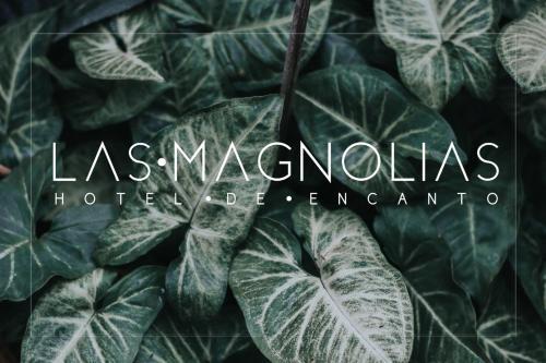 Hotel Las Magnolias