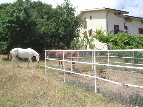 B&B Villa Calagioli