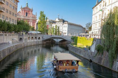 Two-bedroom Apartment Ljubljana Erjavceva