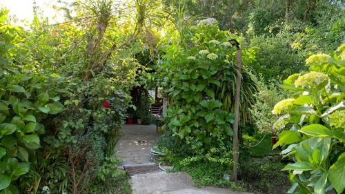 Apartamento Caba�as Salto Del Laja .