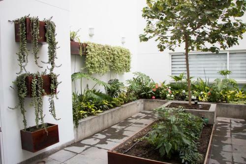 Great Apartment Barranco Miraflores Street View