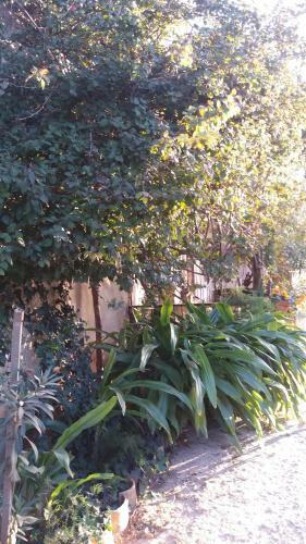 Agroturismo Tenuta Venezia
