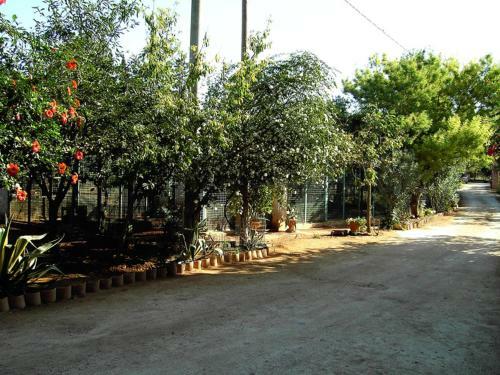 Agroturismo Tenuta Venezia