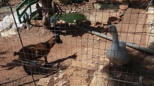 Agroturismo Tenuta Venezia
