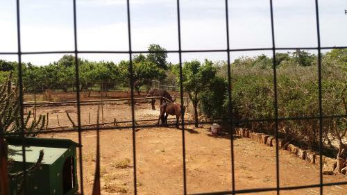Agroturismo Tenuta Venezia