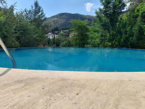 Tonoz Villa