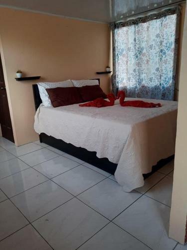 Apartamento Quinta Lagoon Koi Cr