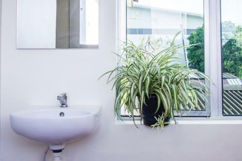 Explore 3br Gardenhouse Retreats (Free Parking)