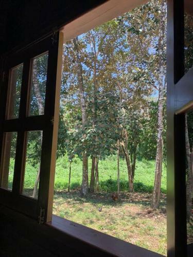 Apartamento �caba�a, Cerca de La Zona Arqueol�gica!