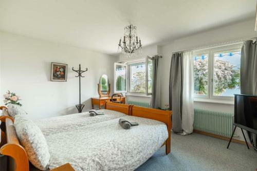 Apartamento 1 Bedroom With Lake View & Garden