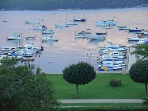 Apartments Demarin