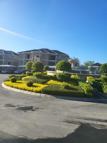 Lavish Lifestyle Apartment, Calming And Relaxing