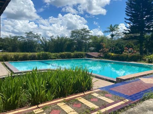 Hotel Capital O 91073 Rantepao Lodge