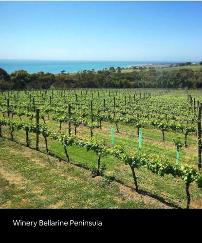 Close To Coast & Bellarine Peninsula