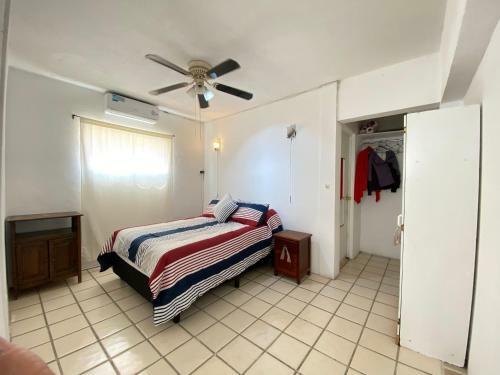 Cozy Apartment Down Town Los Cabos