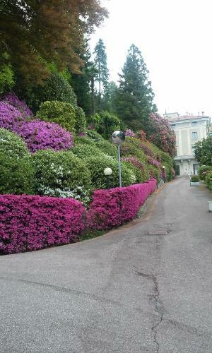 Apartamento Residenza Del Pasci� - Appartamento Camphora