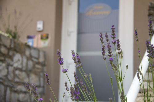 Hotel Arianna