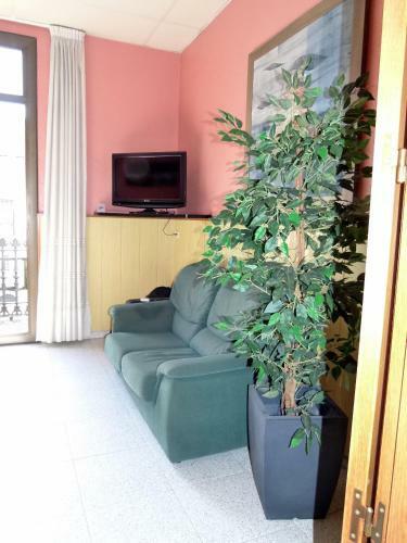 Hostal Nuevo Colon