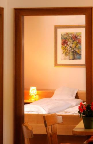 Hotel Steinegger