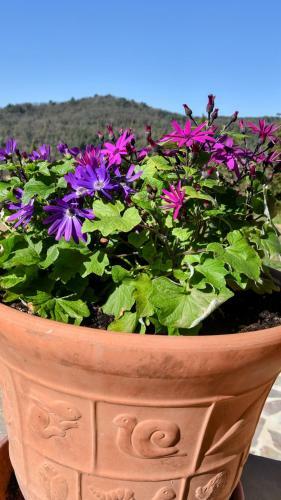 Bed & Breakfast Chambre D'h�tes Cottes