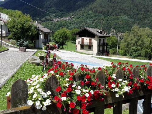 Welcoming Apartment In Dimaro Close To The Centre