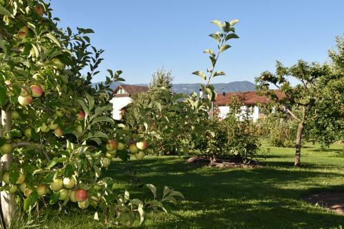 Angerburg Blumenhotel
