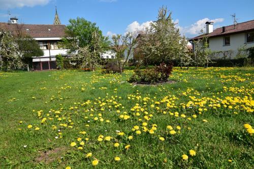 Angerburg Blumenhotel