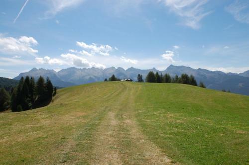 Cimon Dolomites Hotel