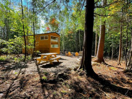 Trailside Stays
