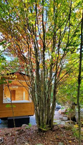 Trailside Stays