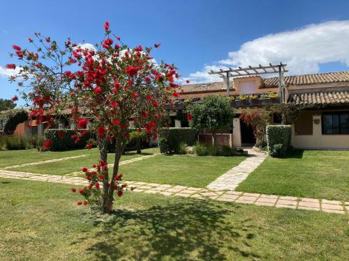 Apartamento Visit San Teodoro Uno