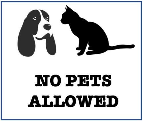 Apartamento Nokno Flats ? The King Bed Suite