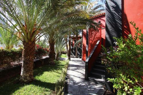 Aparthotel Apartamentos Punta Marina