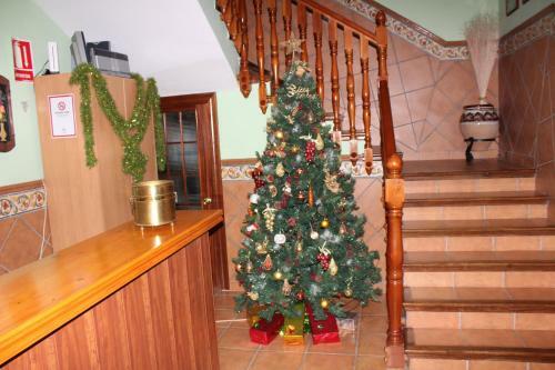 Apartamentos Haza La Moraleda