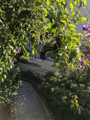 Turkbuku Karaca Home