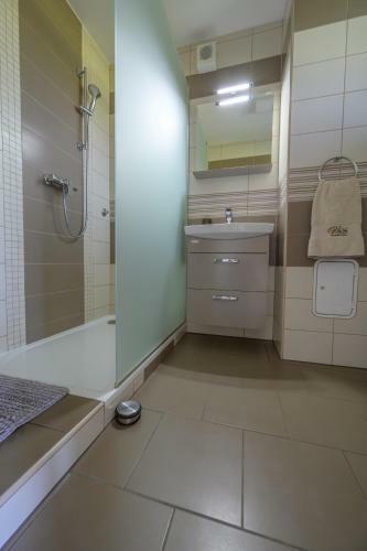 Family Apartment Moravske Toplice