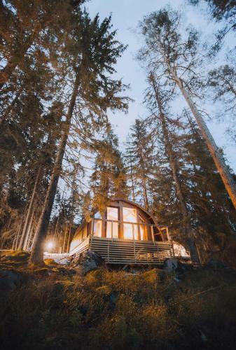 Hotel Haltia Lake Lodge