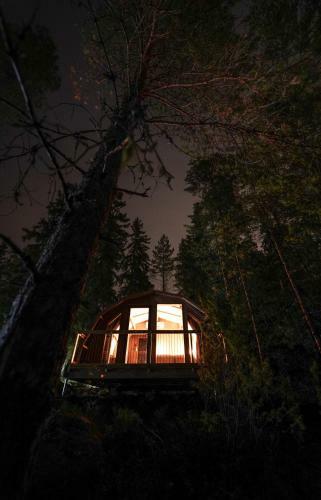 Hotel Haltia Lake Lodge