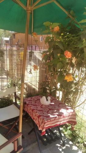 Apartamento Covitrao